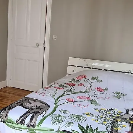 Apartament Peretto **** Grenoble